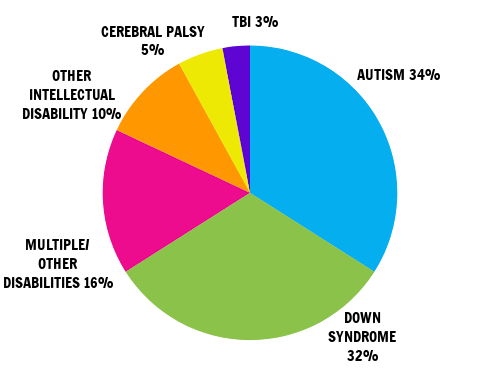 Pie Chart Showing our students by disability: Autism 34%, Down Syndrome 32%, Multiple/Other Disabilities 16%, Other Intellectual Disability 10%, Cerebral Palsy 5%, TBI 3%